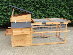 Raised house with run : Dovedale: poultry housing