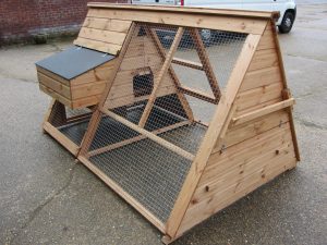 Traditional chicken coop