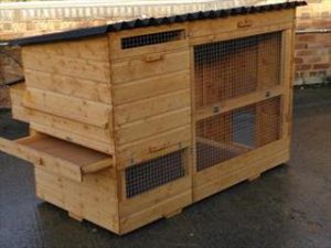 Poultry house with run