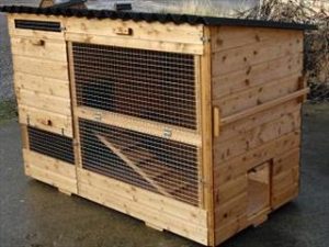 Raised poultry house with run