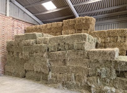 Straw & Hay For Sale