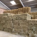 Straw & Hay For Sale