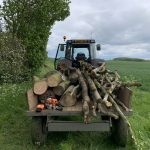 Logs for Sale